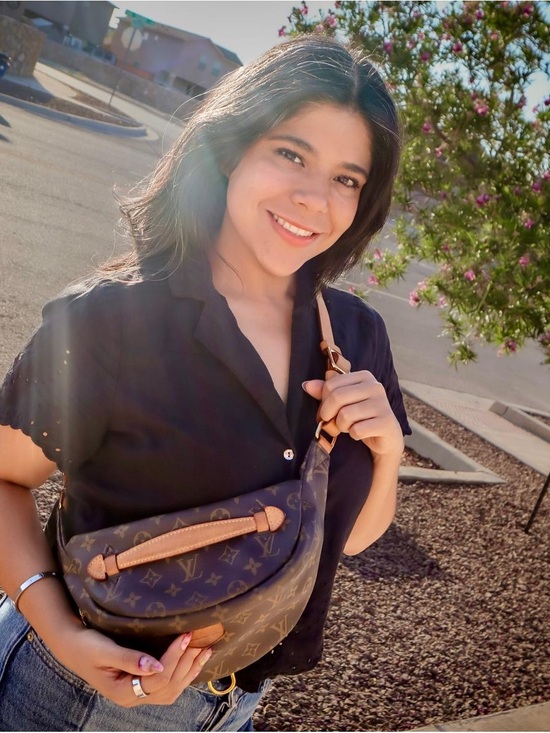 Louis Vuitton Other - Louis Vuitton Monogram bumbag